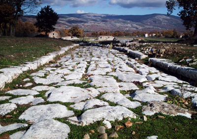 Il basolato della principale strada della città, affiancato dalle crepidini (blocchi parallelepipedi che ne delimitano la larghezza)