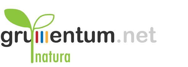 grumentum.net